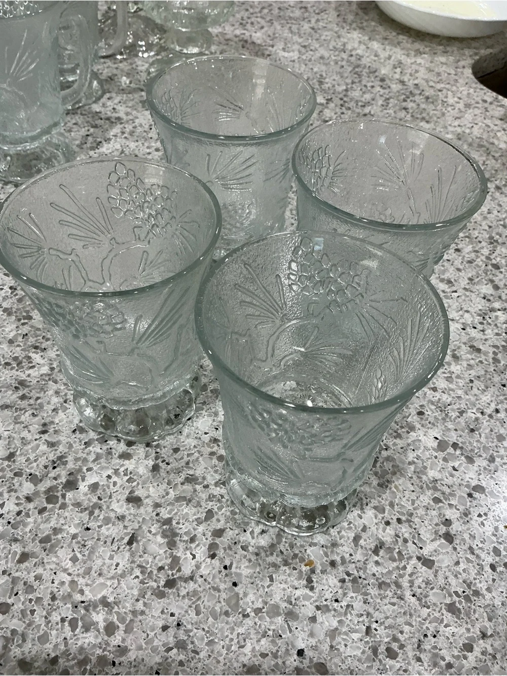 Indiana Glass Embossed Floral Clear Glass Tumblers - Set of 4